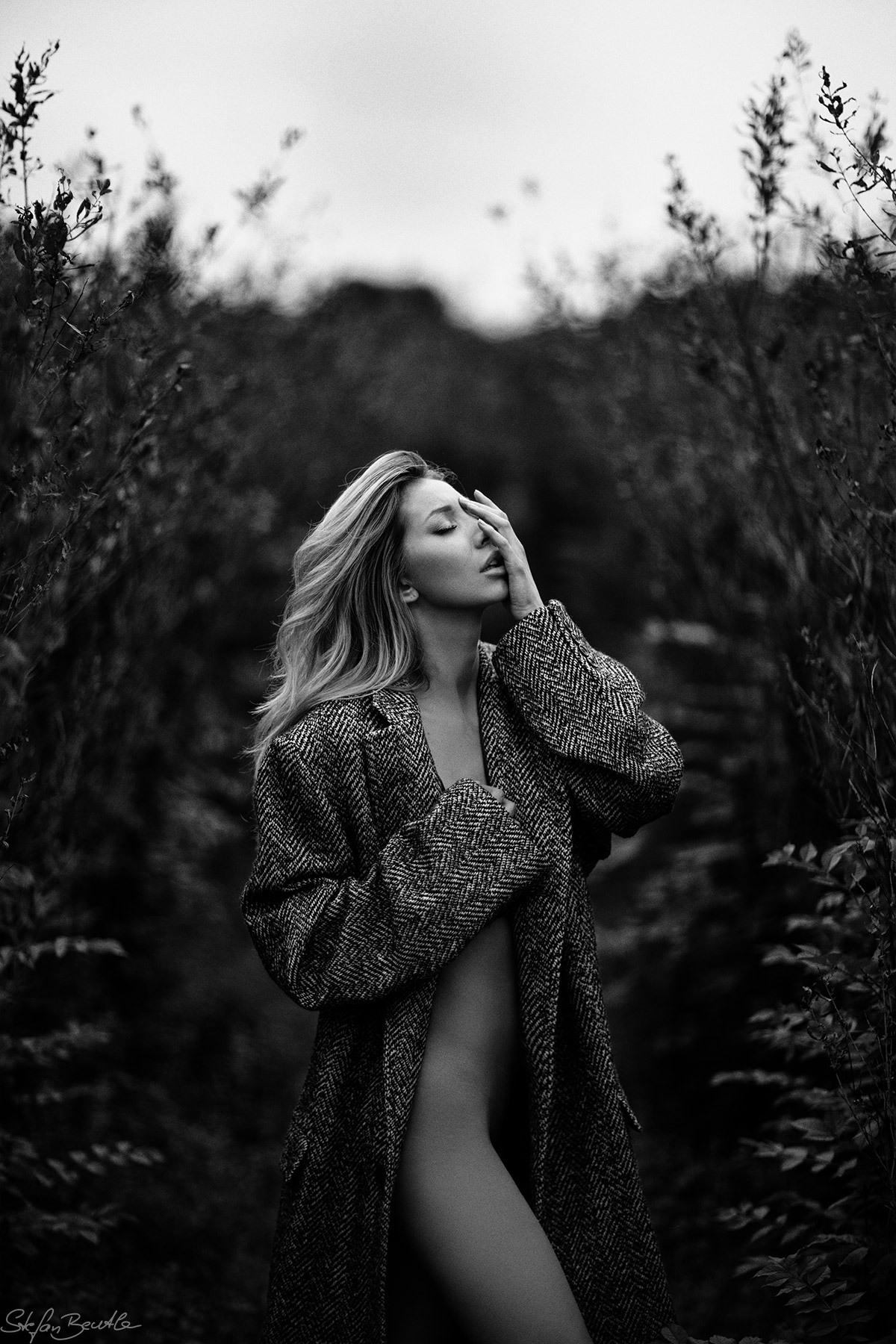 House of Dreams