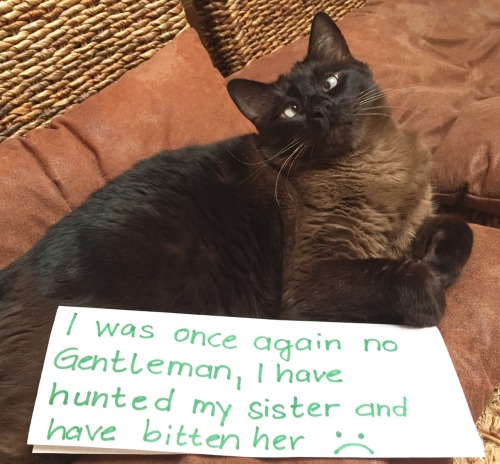 I Was Once Again No Gentleman, I Have Hunted And Bitten My Little Sister