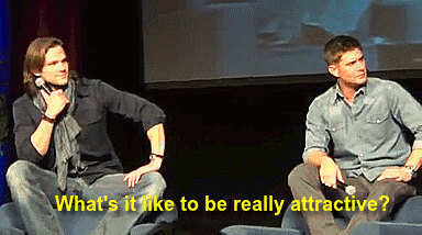 wdbwot is about josh