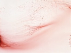 arpeggia:  Wolfgang Tillmans - Freischwimmer, 2003See more Wolfgang Tillmans posts here.