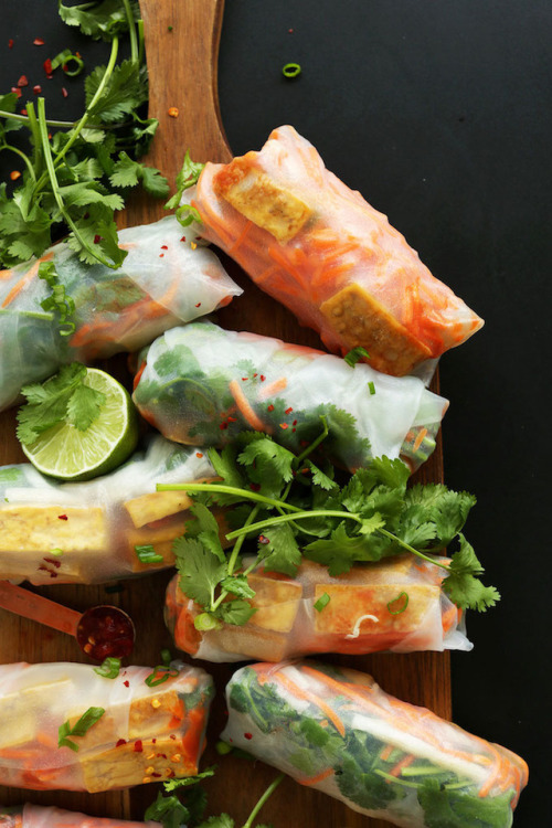 veganfoodporncentral: Bahn Mi Spring Rolls