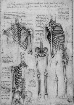 Chaosophia218:Anatomical Studies And Drawings By Leonardo Da Vinci.  #Machinery