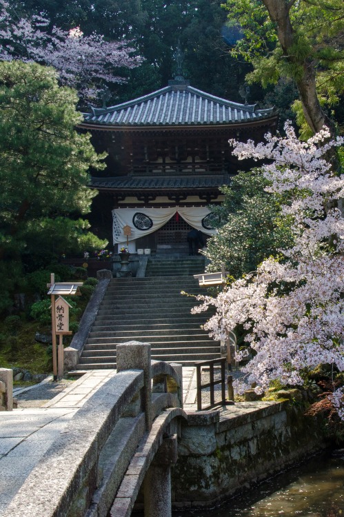 noizzex:  Chion-in, Kyoto / 知恩院（京都） | Kaoru Honda 