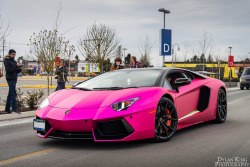 automotivated:  Matte chrome Pink Aventador