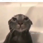 omgwhencanileavesmh
