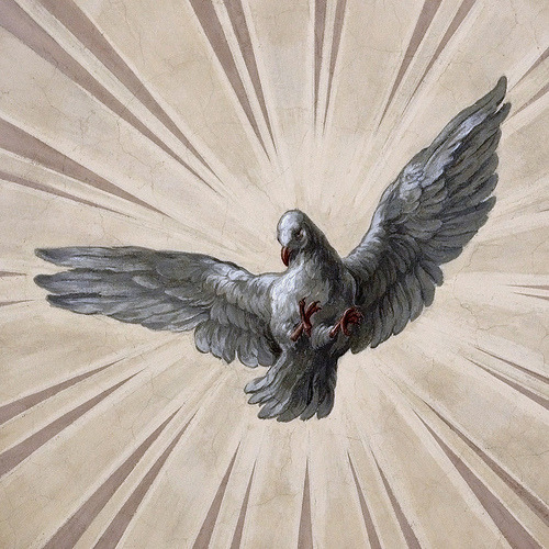 catholicsoul:  Breathe in me, O Holy Spirit, that my thoughts may all be holy. Act in me, O Holy Spi