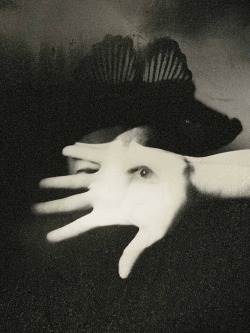 Inneroptics:  Jonė Reed  