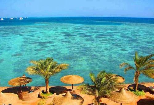 egyptianways: Egyptian Beach
