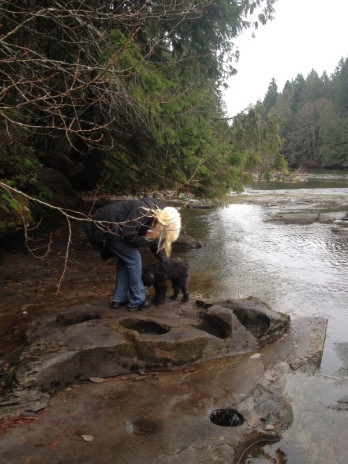 Mushroom foraging adventures at Nymph Falls, Vancouver Island. 
