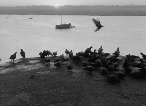 verachytilovas:APARAJITO ‘অপরাজিত’ (1956) dir. Satyajit Raycinematography by Subrata Mitra