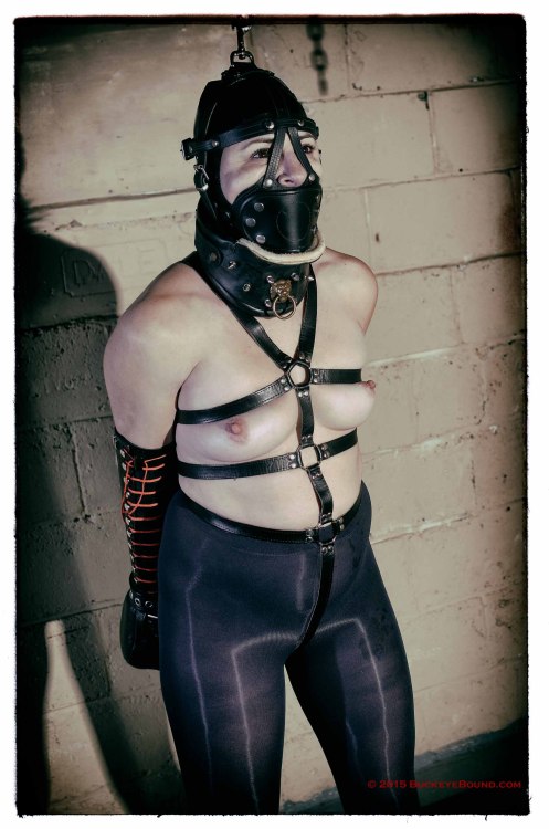 Latex enclosure 69
