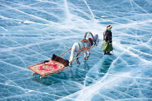 kreativekopf: Khövsgöl Lake Festival, Mongolia, Celine Jentzsch Photography
