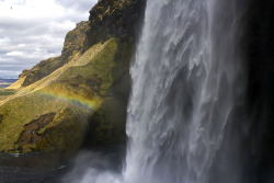 syntheticlivesblog:  We continue our examination Seljalandsfoss.