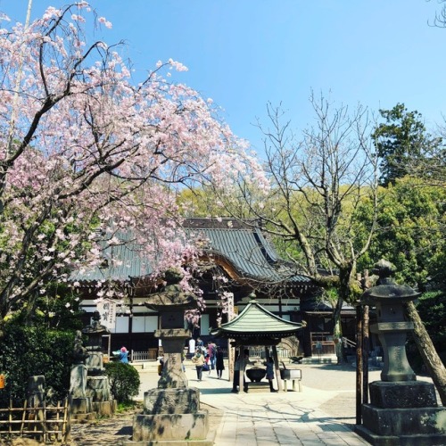 Beautiful Shindaiji temple