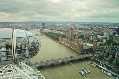reneelouiseanderson:  London Eye 
