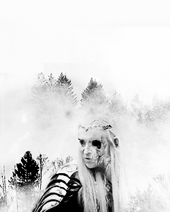 margaerytherose:  War makes monsters of us all; 