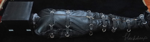 steellock:  What must this feel,like as you hear the latches click? 