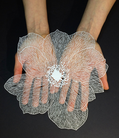 culturenlifestyle:Stunning Delicate Cut Paper Illustrations by Maude White New York-based paper artist Maude White painstaking meticulous paper depictions of nature and people continue to impress us with her storytelling and technical abilities. Each