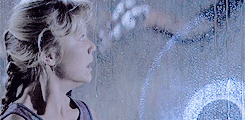 hazel-swan: T  U  R  N      T  H  A  T      L  I  G H T     O F