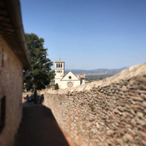 Unexpected view of the Basilica of San Francisco.~~~ Take a workshop in Assisi, Italy this summer.