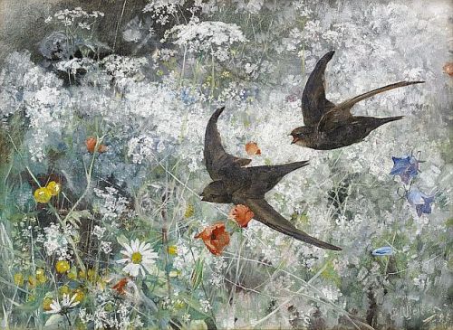 Swifts (1886) by Bruno Liljefors (Sweden, 1860-1939). 