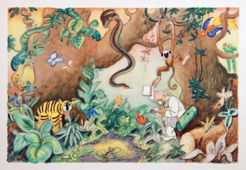 Some more illustrations by Walter Trier (1890—1951).