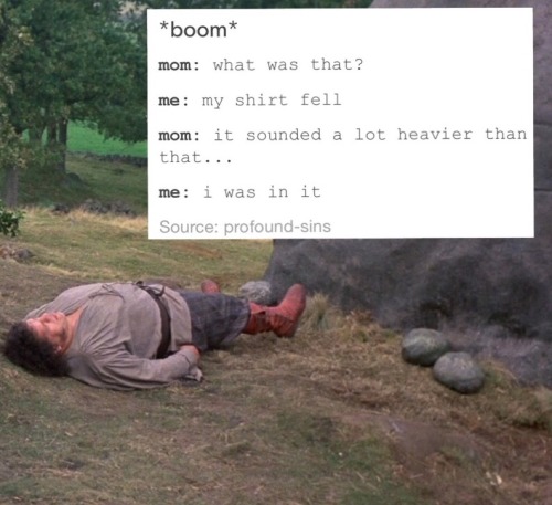 thefaultinourstar-lord: The Princess Bride + text posts