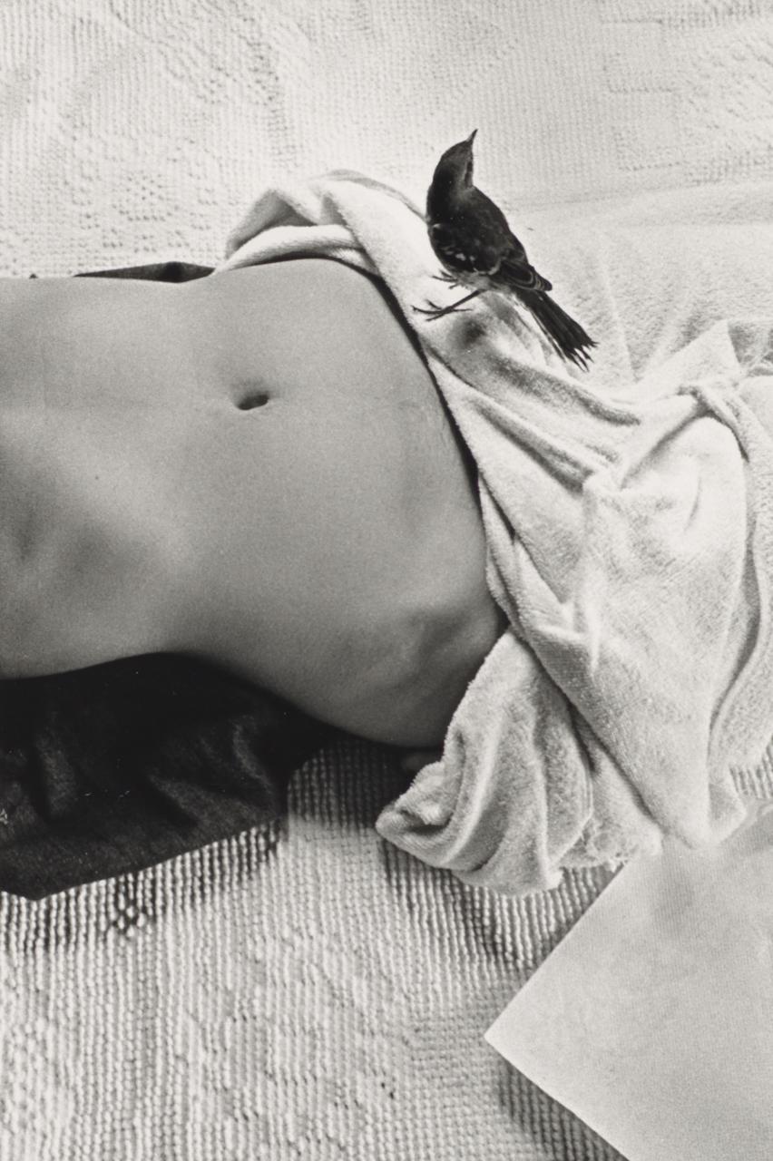 thegreatinthesmall:Christine GODDEN.  Leigh and the bird 1973  