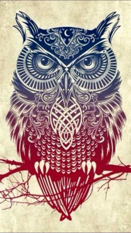 owl tattoo