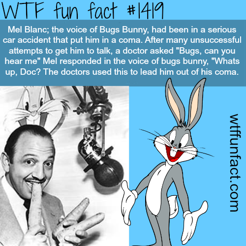 wtf-fun-factss:  Mel Blanc, the voice of bugs bunny car accident-  people’sfacts