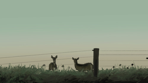 deer at dawnbased on photos by @geopsych with permission