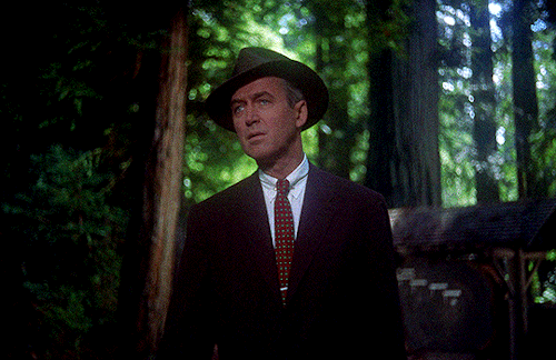 filmgifs:One final thing I have to do. And then, I’ll be free of the past.Vertigo (1958) dir. Alfred Hitchcock