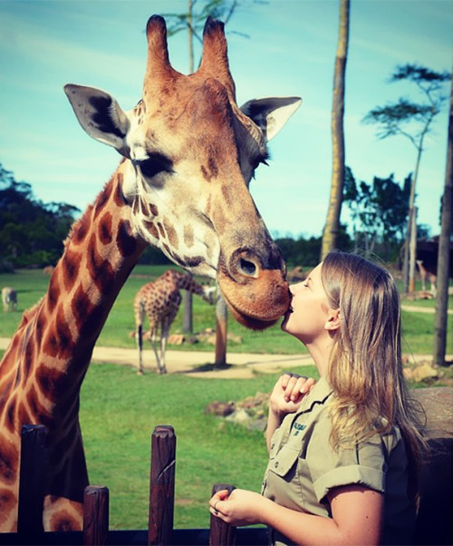 boredpanda:Steve Irwin’s Daughter Is Now Grown Up And Keeping Dad’s Legacy Alive