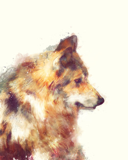 Bestof-Society6:    Art Prints By Amy Hamilton    Wolf // True   Wolf  Free Worldwide