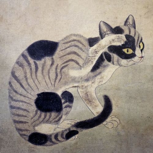 Jun Hou aka 君厚 aka Gun Hu aka Hu Gun aka 군 후 (Korean, South Korea) - Cat, Scratching, Korean Paint o