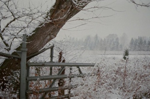 #35mmfilm #olympusom1 #istillshootfilm #ohio #winter #50mmprime #landscapephotography