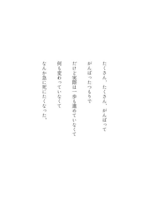 sooyaafluers - ㅤㅤ