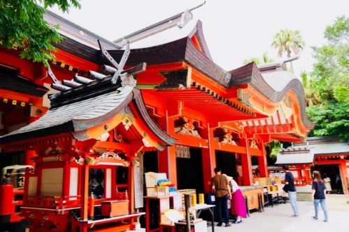 青島神社⛩
