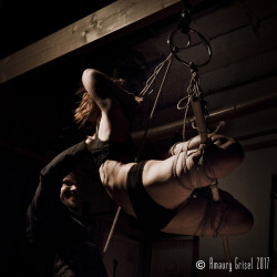 amaury-grisel-shibari:  Amazing @franckievega