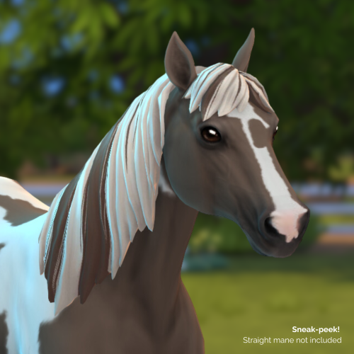 Yeehaw!