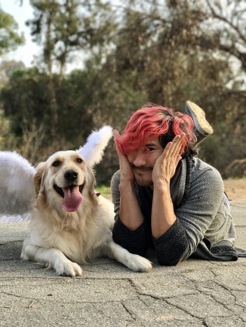 More Soft Markimoo For Everyone
