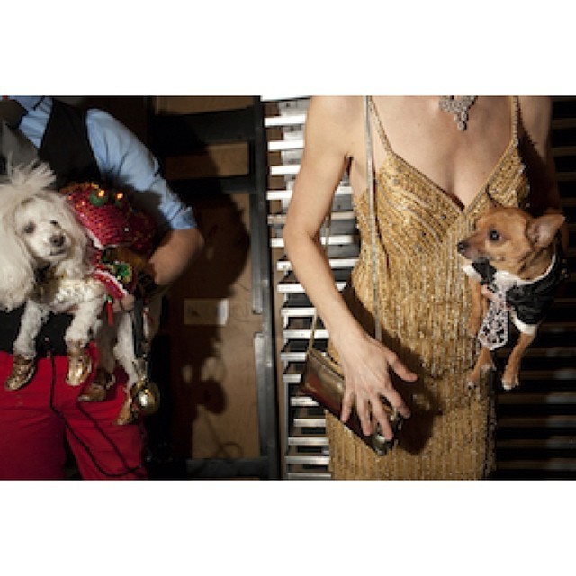 Awkward or elegant backstage at the 2011 Doggy Fashion Show? The people will decide for themselves when @LandonNordeman opens #CanineKingdom at The Half King next Weds, 3/12/14. @ElisabethBiondi will referee! #hkphotoseries #squaready (at The Half...