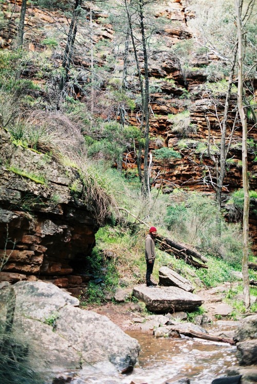 Flinders Ranges camping tripSept 2016