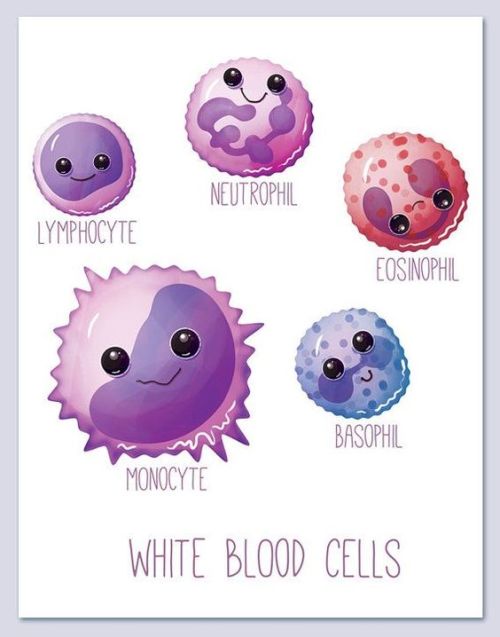 Cute Components of Blood