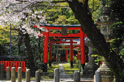 caelestial:chiri isogu by ponkan. on Flickr.