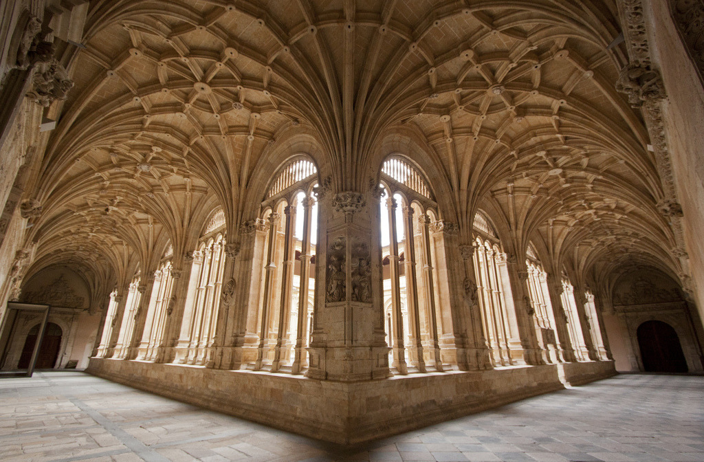 by-grace-of-god:  Salamanca Cathedral, Spain I love that Lawrence OP describes each