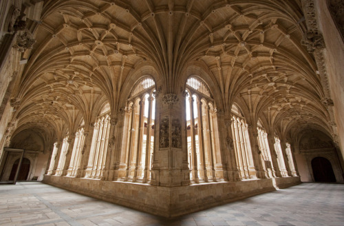 XXX by-grace-of-god:  Salamanca Cathedral, Spain photo