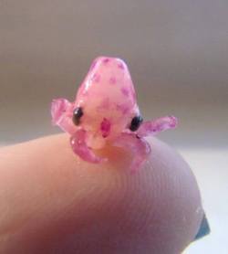phantomfaith:  sixpenceee:  This is a baby Octopus.   I shall call him Squishy 