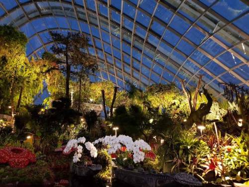 The biodomes at Gardens by the Bay are actually amazing - especially at night!