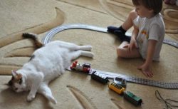 mastercatscinema:  Why yes, I have caused a train derailment.  Via the Chive. 